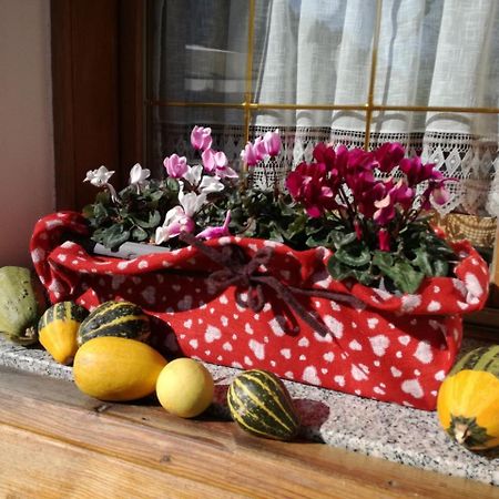 Albergo Aurora Vignola  Esterno foto
