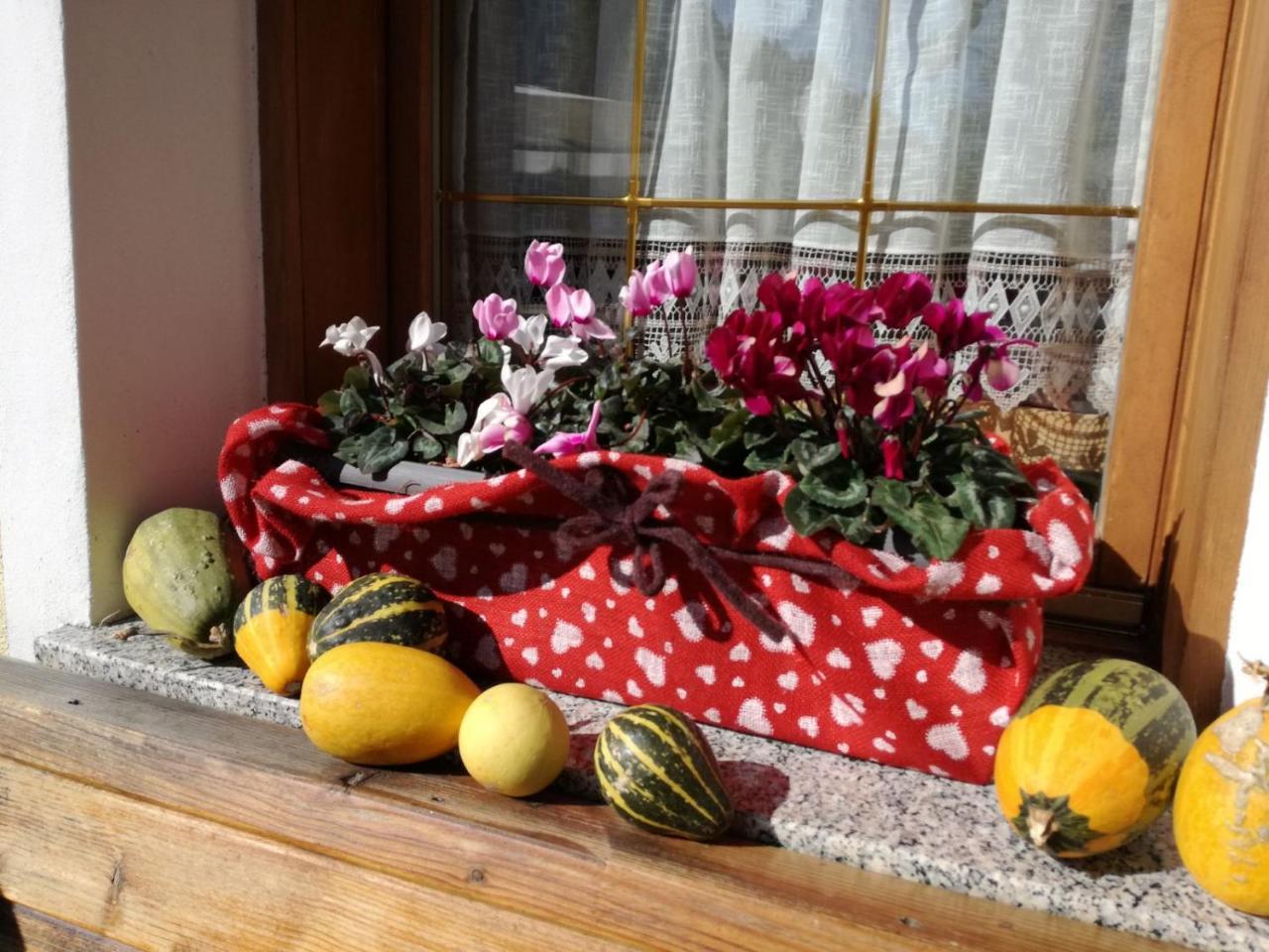 Albergo Aurora Vignola  Esterno foto
